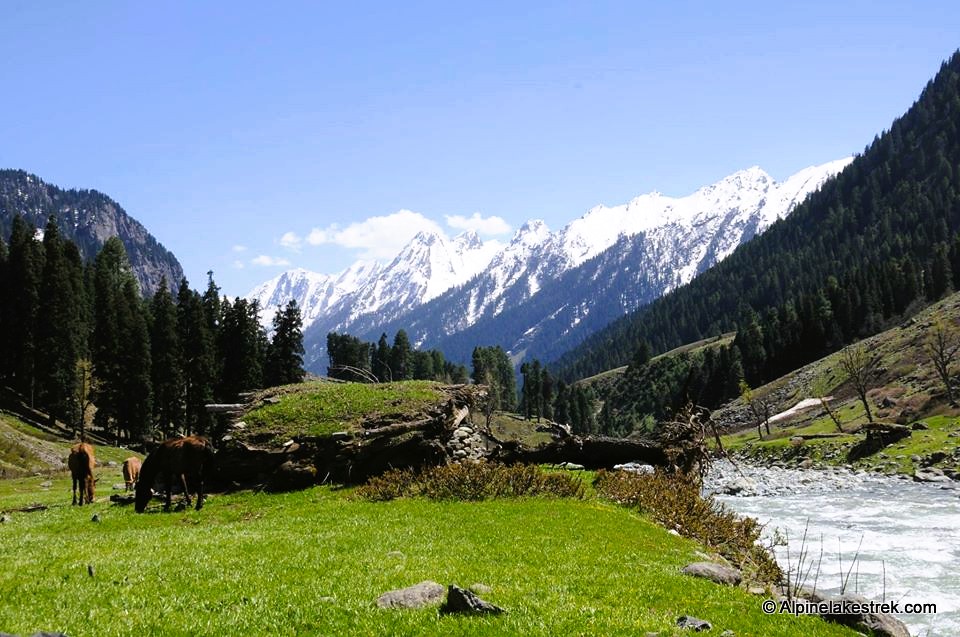 short treks in pahalgam
