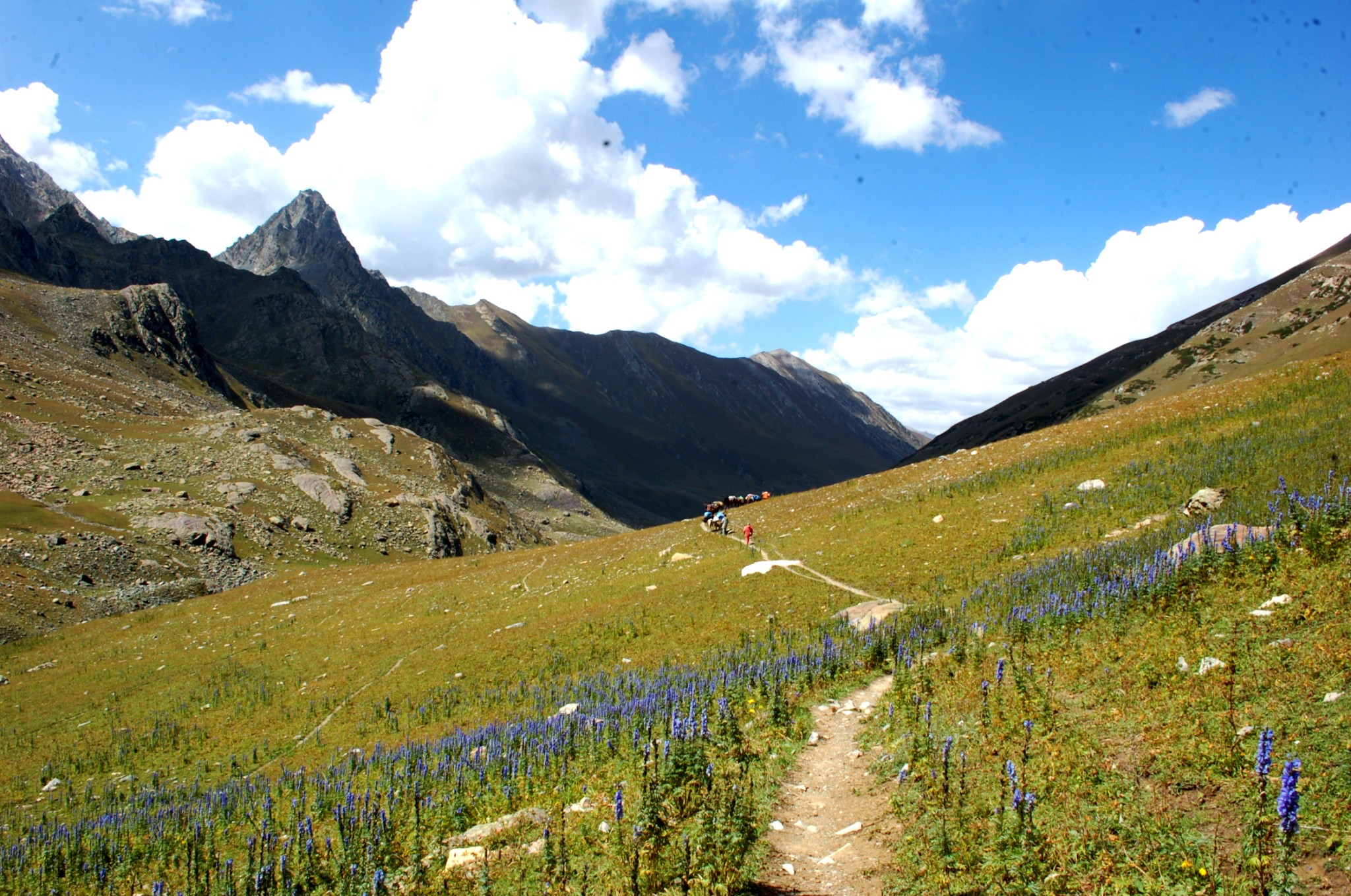 Short treks in Kashmir