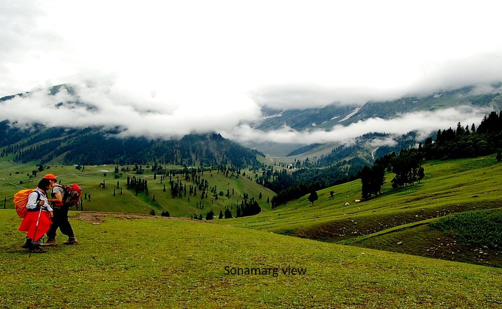 41859288291_a70d123563_h (2)