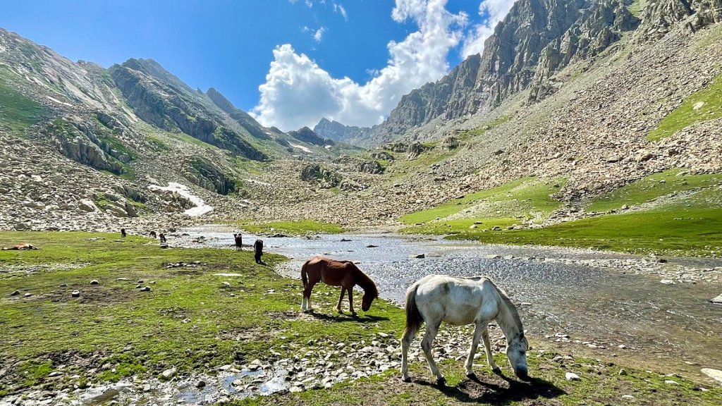 Alpine trek Pahalgam