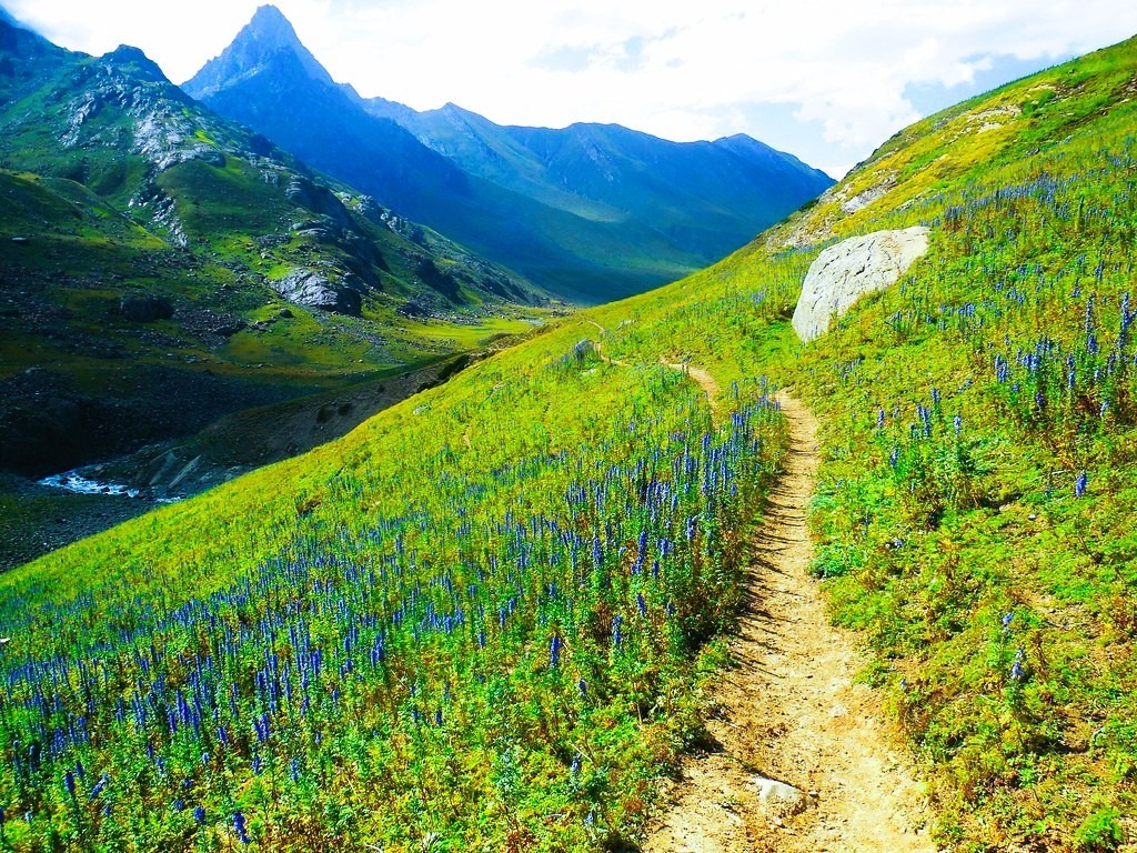 short trek in Kashmir