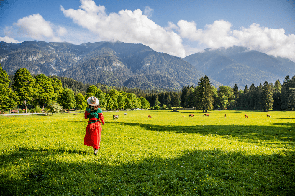 cost tarsar marsar trek