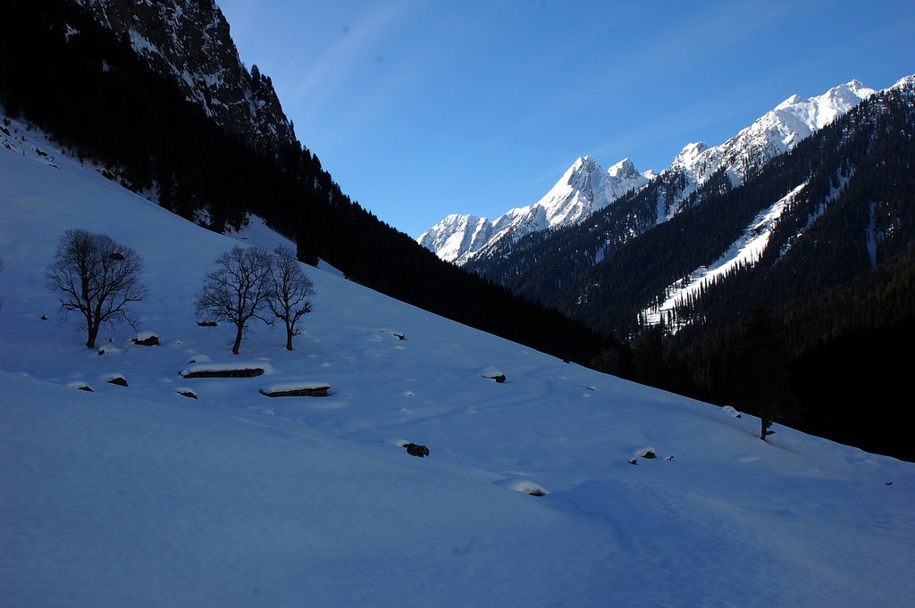 Pahalgam kolahoi trek 