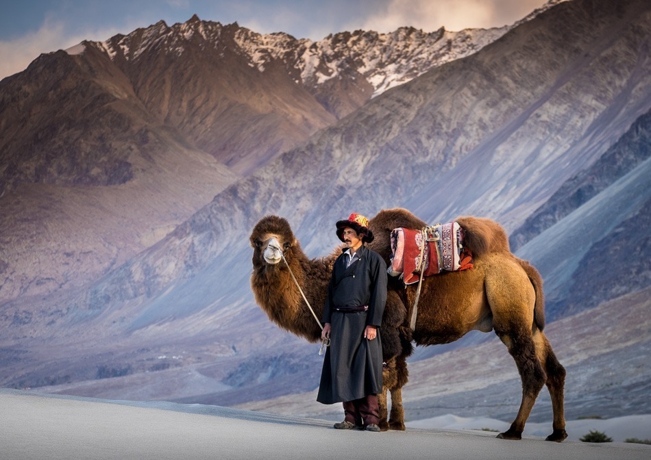 ladakh trekking