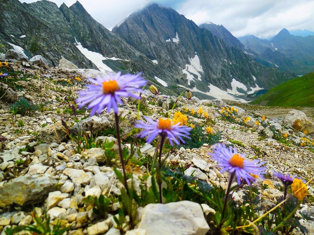 trekking in Kashmir India