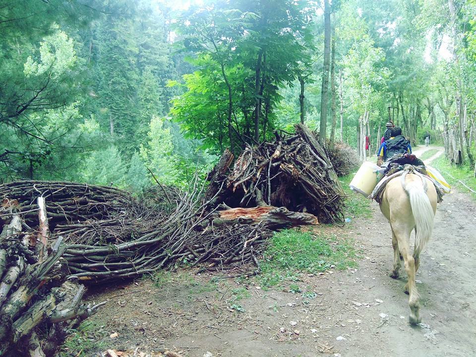 yusmarg trek