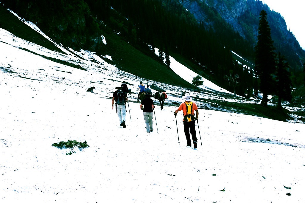kolahoi glacier trek itinerary 